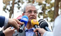 ربیعی: دخالت دولت در پرونده نجفی صحت ندارد