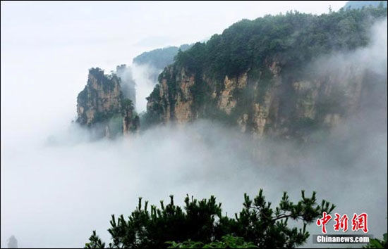 دریای ابر در یک پارک جنگلی در چین +عکس