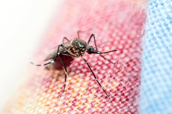پهپادها، راهکار جدید مبارزه با مالاریا در تانزانیا