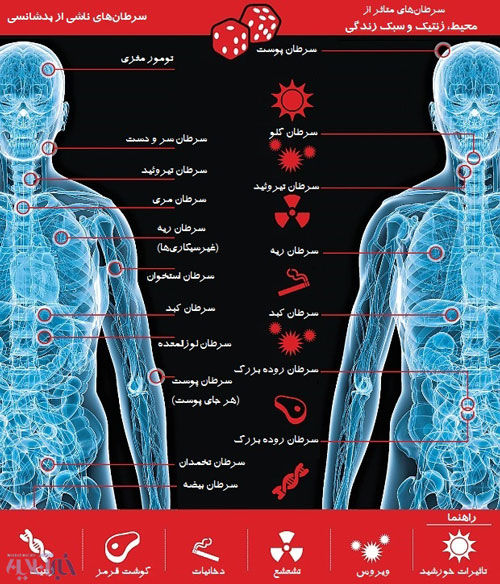 بدشانس ها گرفتار کدام سرطان‌ می‌ شوند؟