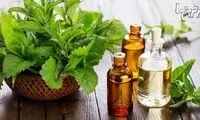 خوردن عرق نعناع برای این بیماری معده ممنوع!