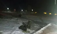 خرس مادر و فرزندانش در ایستگاه هواشناسی