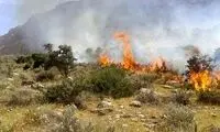 بیش از ۱۰۰هکتار از اراضی میانکاله در آتش سوخت
