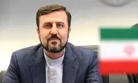 ایران: پاسخ ما به هر اقدام نظامی دردناک خواهد بود