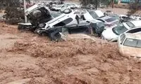 خطر خروش ۶۰هزارکیلومتر رودخانه