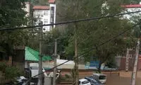 سیل در فشم