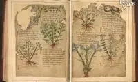 دسترسی آنلاین به نسخه خطی گیاهان دارویی هزار ساله