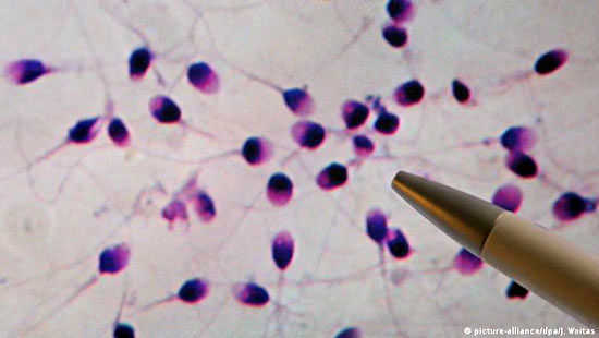 نتیجه غیرمنتظره واکسن کرونا بر باروری مردان
