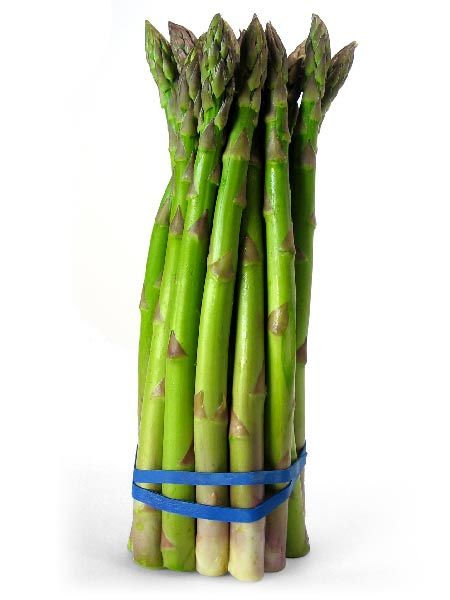 مارچوبه (Asparagus)