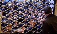 تصاویری از ازدحام و صف‌ طویل برنج در مشهد