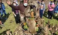 جشنواره بُخور بُخورِ میمون‌ها در تایلند