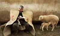 عکس روز نشنال جئوگرافیک