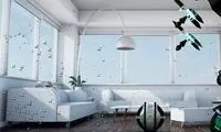 وقتی حشرات خانه‌تان را تمیز می‌کنند +عکس