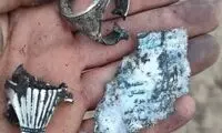 خاطره‌ای از سردار زاهدی که تکذیب شد