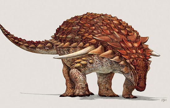 کشف گونه‌ای جدید از دایناسور که 5 متر طول دارد