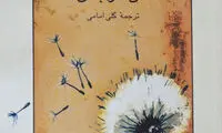 پاراگراف کتاب (66)