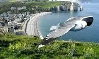دنیای زیبای من...(4)