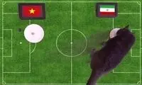 گربه پیشگو، بُرد ایران مقابل ویتنام را پیش‌بینی کرد
