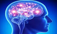مغز چگونه اهمیت موضوعی را تشخیص می دهد؟