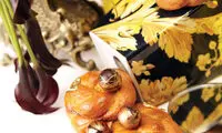 نان کَره‌ای های مخصوص تعطیلات