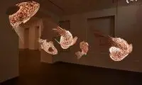 لامپ های درخشانی که در هوا شنا می کنند
