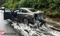 بلایی که مارماهی‌ها بر سر صحنه تصادف آوردند