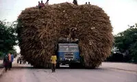 حمل و نقل‌های عجیب و دیدنی در سراسر جهان