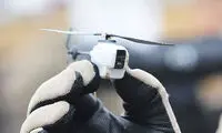 حشره جاسوس 40 هزار دلاری ارتش آمریکا