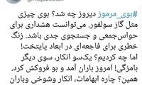 زنگ خطری برای فاجعه‌ای در ابعاد پایتخت!