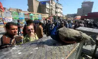 بازار مکاره؛ با ۱۰۰میلیون صاحب پلنگ شوید!