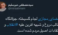 توئیت میرسلیم در فضای مجازی علیه فضای مجازی