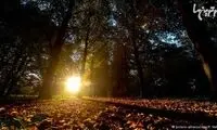 پاییز طلایی، از رقص رنگ‌ تا غروب‌ رویایی