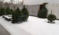 برف، شمال تهران را سفیدپوش کرد