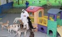 افتتاح هتل هفت ستاره برای حیوانات ! +عکس
