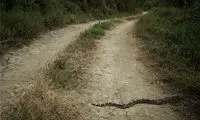 روستایی بدون بچه +عکس