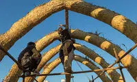 مضیف؛ ظاهری ساده و ساختی پیچیده