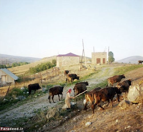 روستایی که مرد ندارد! +عکس