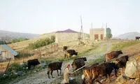 روستایی که مرد ندارد! +عکس
