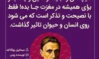 هایلایت (433)