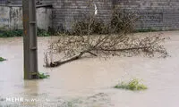 خسارت طوفان و سیلاب در گلستان