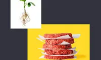 برگرهای گیاهی، محصول جدید بیل گیتس برای انسان ها