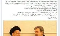 روایت سفیر ایران از «دیوانیه» ها