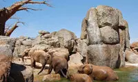 باغ وحش استثنایی در والنسیا +عکس