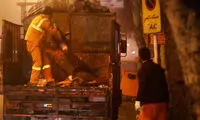 عکس: سگ‌ کشی در دل تاریکی شب