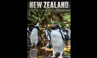 شگفتی‌های «نیوزلند جزایر افسانه‌ای» در قاب تصویر