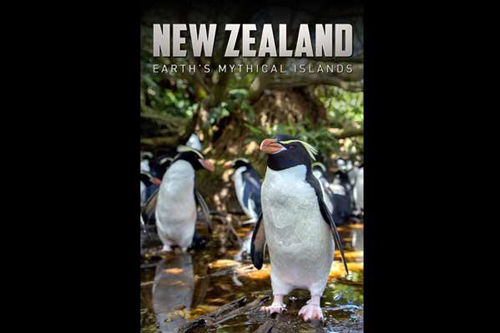 شگفتی‌های «نیوزلند جزایر افسانه‌ای» در قاب تصویر