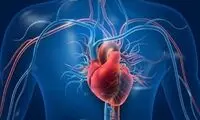 اگر مشکل قلبی دارید این کارها را نکنید