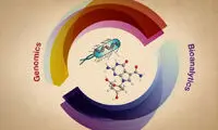 روشی جدید برای کشف دستکاری‌های DNA