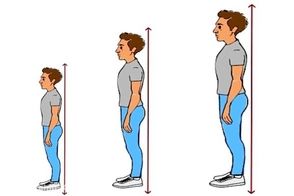 بهترین مواد غذایی برای افزایش قد کودک