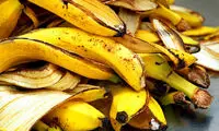 ترفندهایی برای استفاده از دورریز میوه و سبزیجات